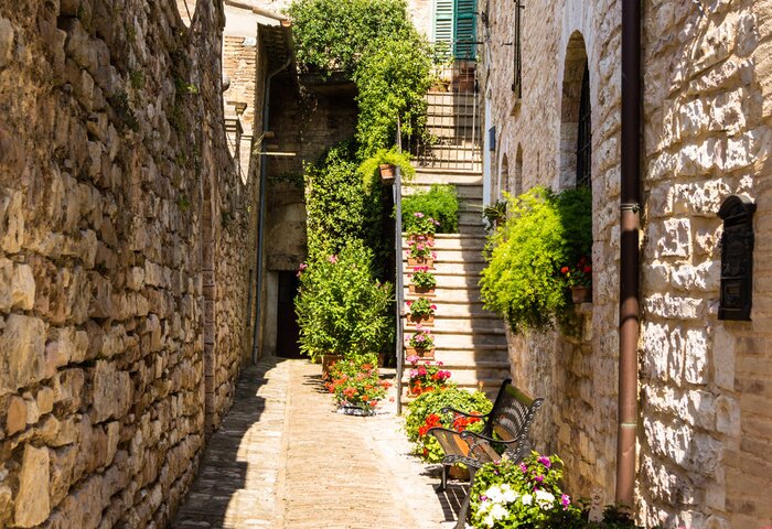 Fototapete Reizvolle Gasse mit Flora
