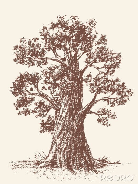 Fototapete Retro Abbildung mit Baum