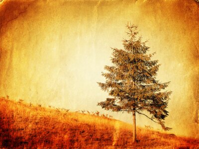 Retro Baum am Hügel