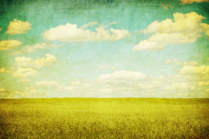 Fototapete Retro-Blumen auf der Wiese