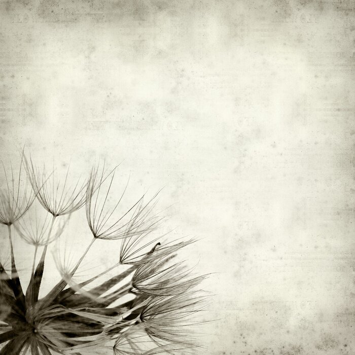 Fototapete Retro Blumen auf einer Lichtung