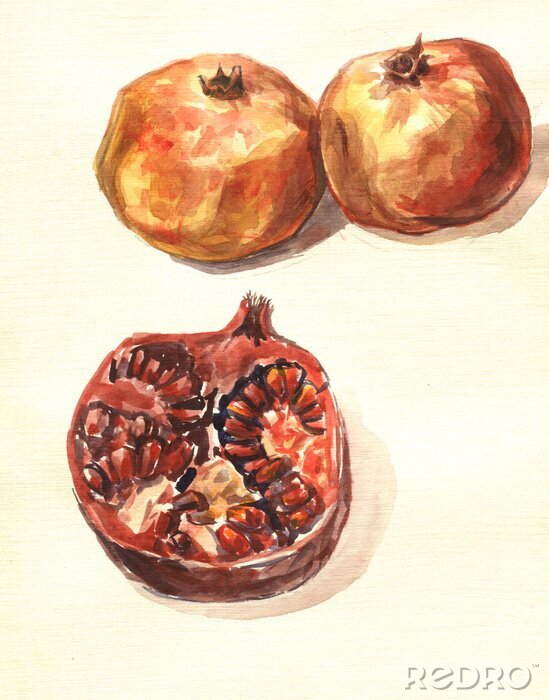 Fototapete Retro-Grafik mit einer Granatapfelfrucht