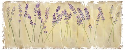Retro-Illustration mit Lavendel