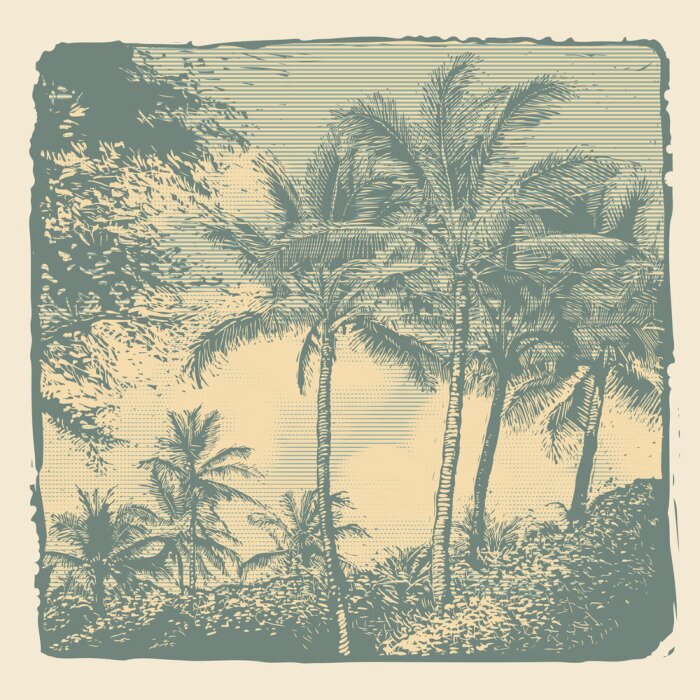 Fototapete Retro Palmen