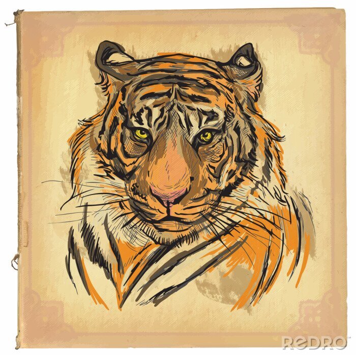 Fototapete Retrostil-illustration eines tigers