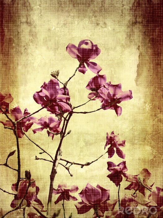 Fototapete Retroviolette Blume auf gealtertem Hintergrund