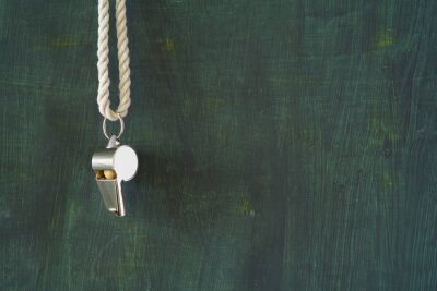 Richterpfeife auf Holzhintergrund