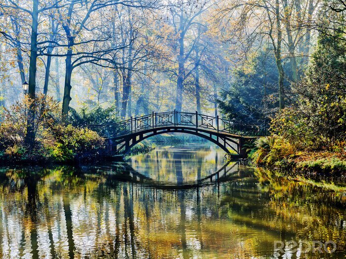 Fototapete Romantische Brücke im herbstlichen Park