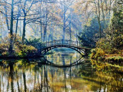 Fototapete Romantische Brücke im herbstlichen Park