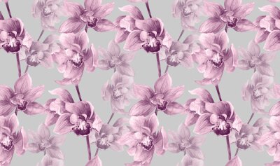 Fototapete Romantische rosa Orchidee