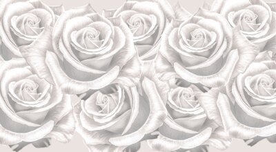 Fototapete Romantischer Blumenhintergrund als weiße Rose