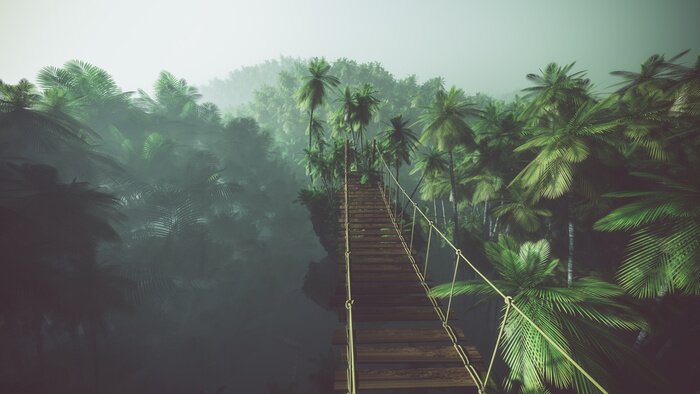 Fototapete Rope bridge in misty jungle with palms. Backlit.
