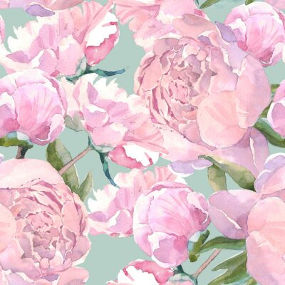 Rosa Blumen auf einem tadellosen Hintergrund