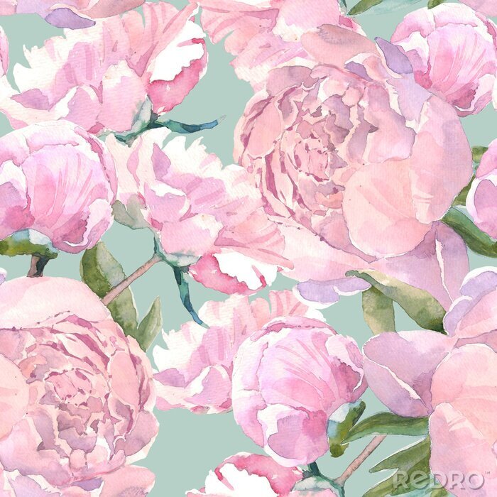 Fototapete Rosa Blumen auf einem tadellosen Hintergrund