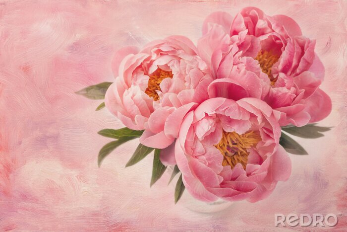 Fototapete Rosa Blumen auf rosa Hintergrund Shabby-Chic