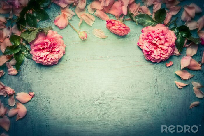 Fototapete Rosa Blumen auf türkisfarbenem Hintergrund