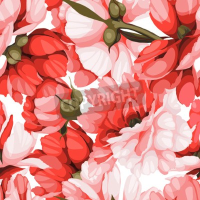 Fototapete Rosa grafische Pfingstrosen