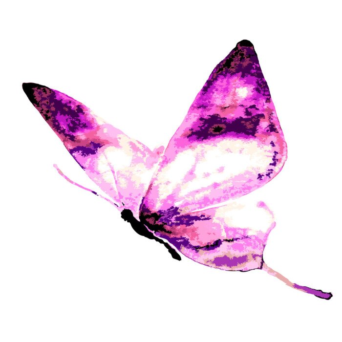 Fototapete Rosa Schmetterling in Aquarell