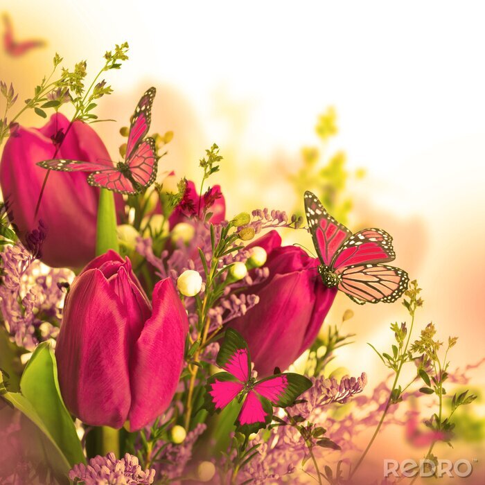 Fototapete Rosa Tulpen und abstrakte Schmetterlinge