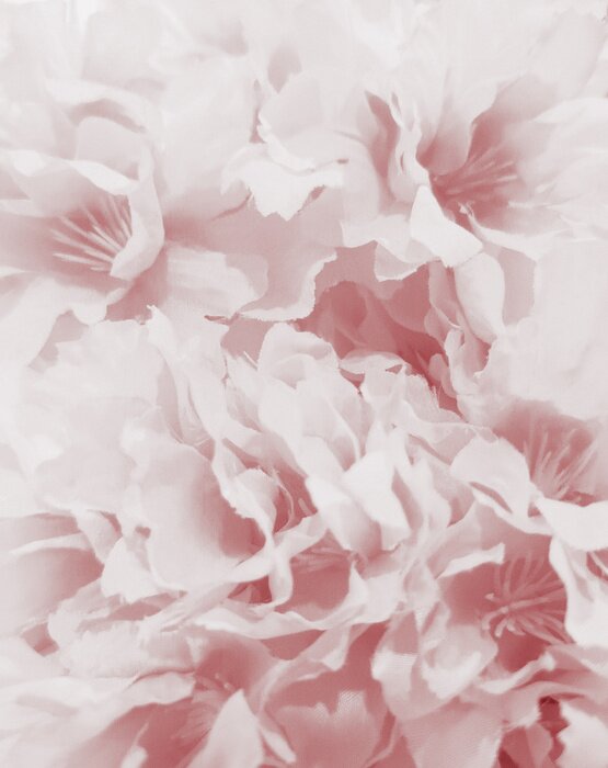 Fototapete Rosa Vintage Pfingstrosen