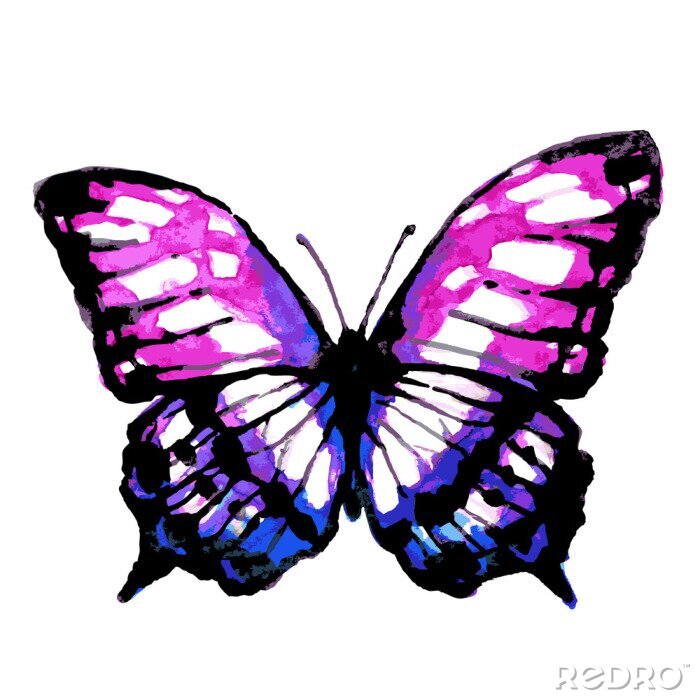 Fototapete Rosa-violetter Schmetterling
