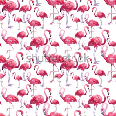 Fototapete Rosa Vögel auf weißem Hintergrund