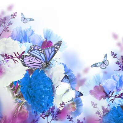 Fototapete Rosen Nelken und Schmetterlinge