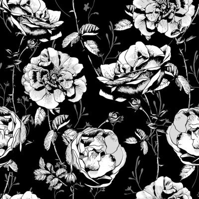 Rosen wei? auf schwarzem Hintergrund