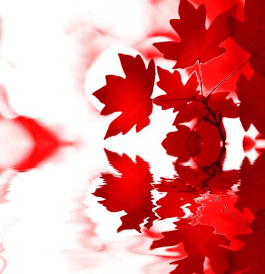 Fototapete Rote Blätter als Natur