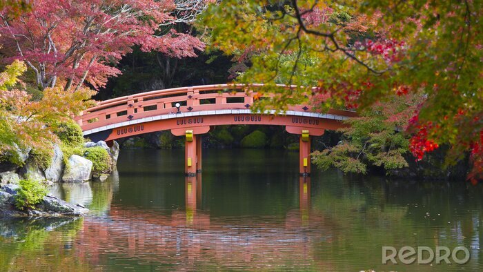Fototapete Rote Brücke im japanischen Garten