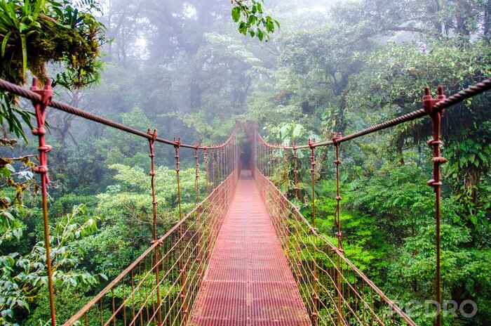 Fototapete Rote Brücke in Costa Rica