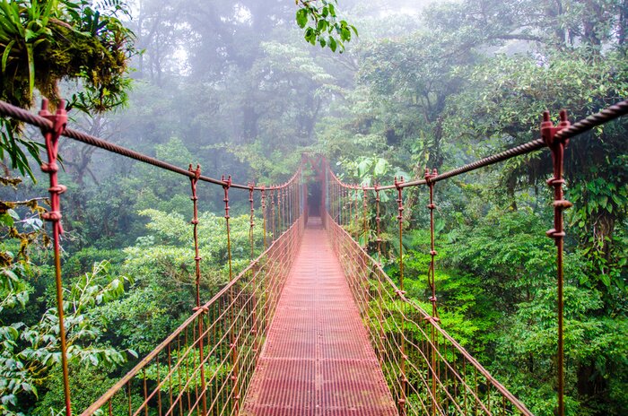 Fototapete Rote Brücke in Costa Rica