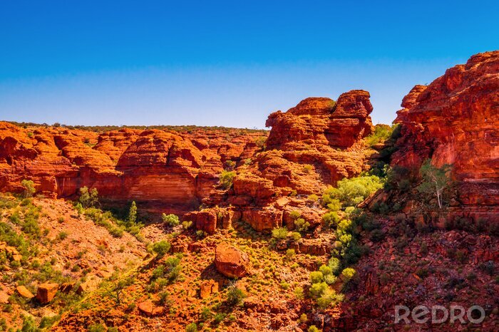 Fototapete Rote Felsen in der Wüste