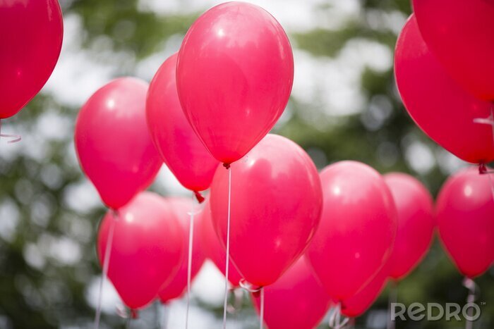 Fototapete Rote Luftballons