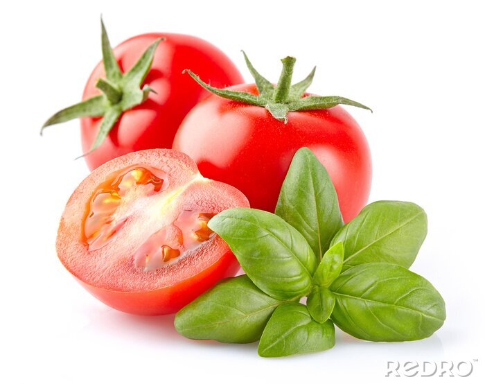Fototapete Rote Tomaten und Basilikum