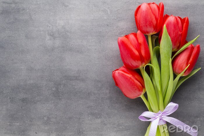 Fototapete Rote Tulpen auf Beton