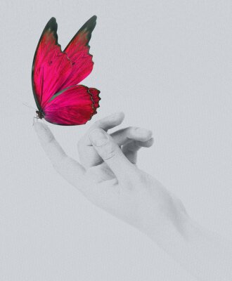 Roter Schmetterling auf einer Hand sitzend