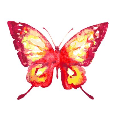 Fototapete Roter Schmetterling in Aquarell