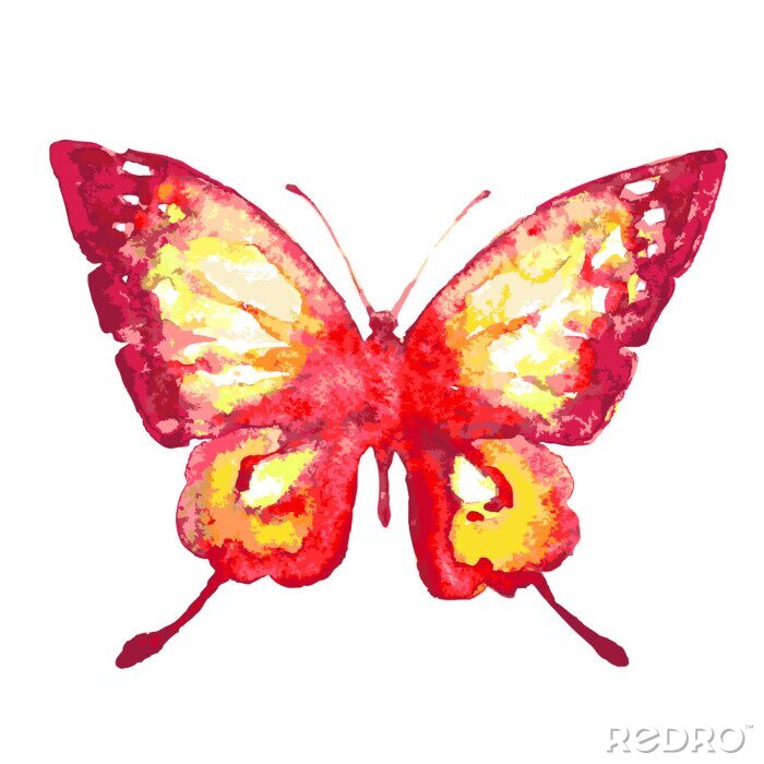 Fototapete Roter Schmetterling in Aquarell