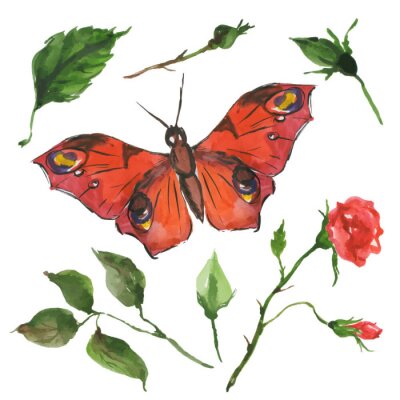 Fototapete Roter Schmetterling und Rose