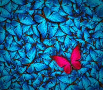 Fototapete roter Schmetterling unter blauen Insekten