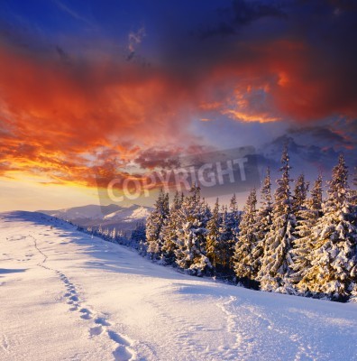 Fototapete Roter Wintersonnenaufgang