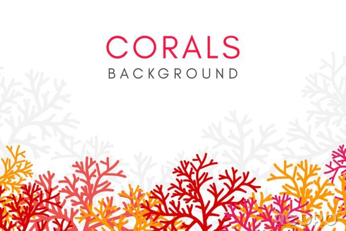 Fototapete Rotes Korallenriff auf weißem Hintergrund