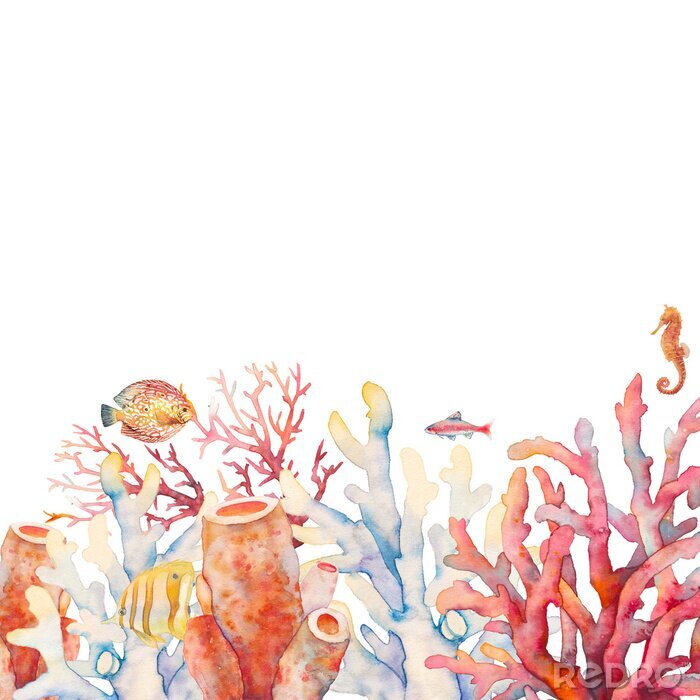 Fototapete Rotes Korallenriff in Aquarell