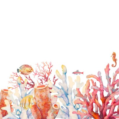 Fototapete Rotes Korallenriff in Aquarell