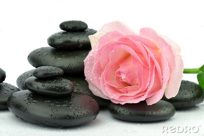 Fototapete Róża na kamieniach tun spa