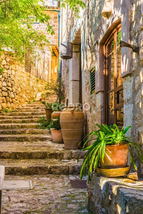 Fototapete Rustikale Straße mit Blumentöpfen neben den Häusern