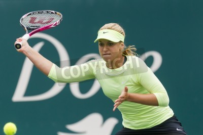 Fototapete Sabine Lisicki während des Spiels