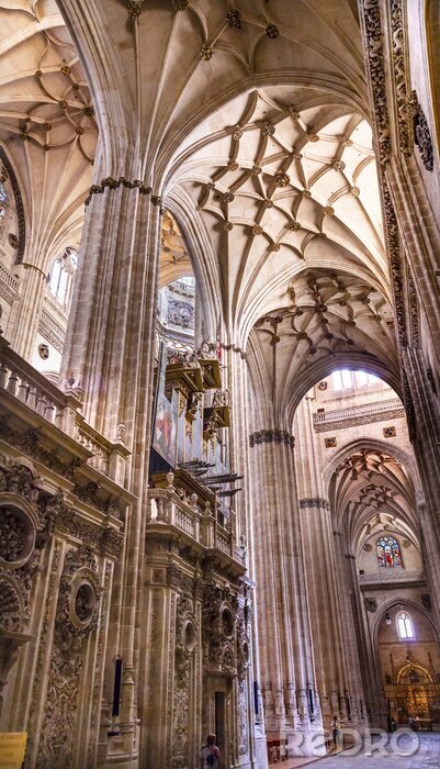 Fototapete Säulen in spanischer Kathedrale