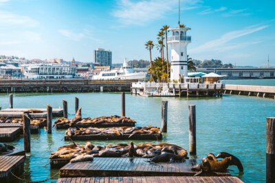 San Francisco und Fisherman's Wharf